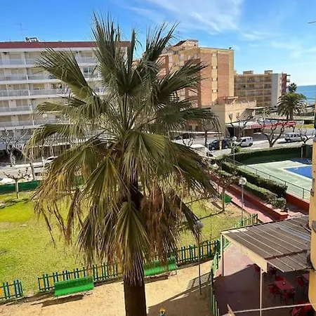 Acogedor En Primera Linea De Playa La Pineda